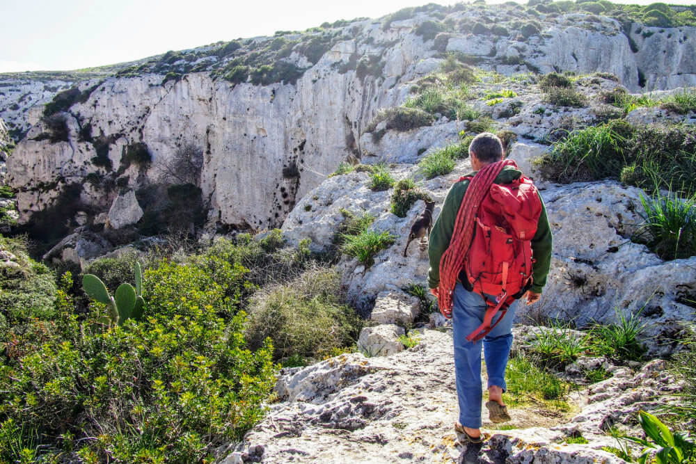 Stevie and his dog leads the way across the top of the limestone cliffs near Mġarr ix-Xini, Gozo