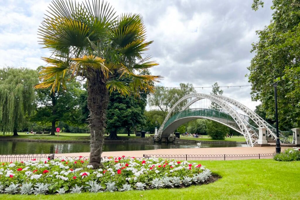 A palm tree stands proudly alongside Bedford’s signature suspension bridge