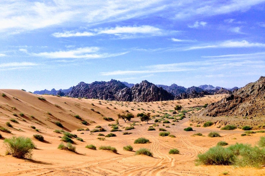 Desert scene