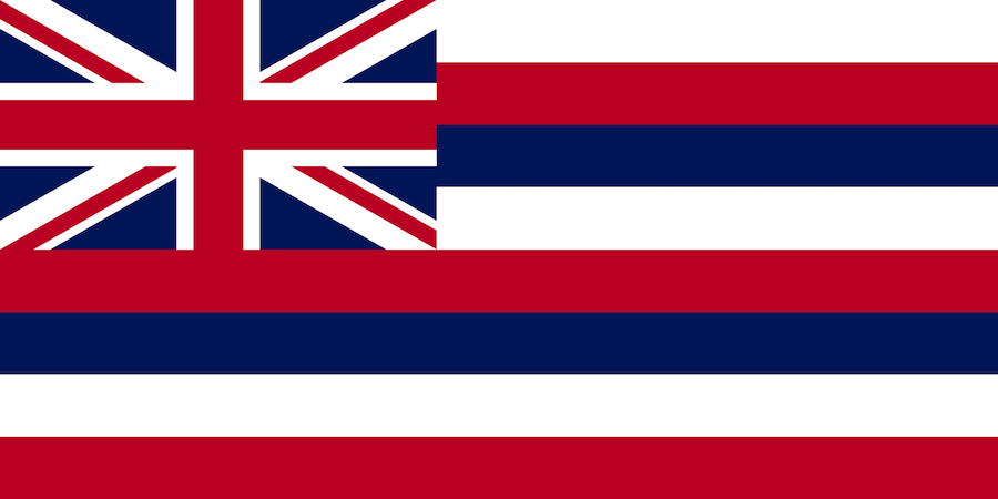 US State Flag
