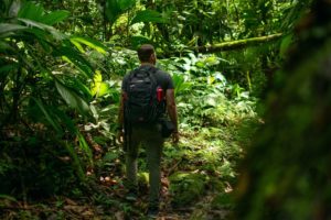 A backpacker explores a rainforest