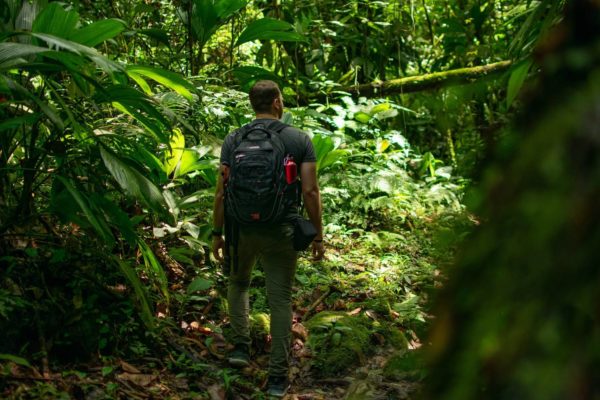 What is Ecotourism and Why is it Important?