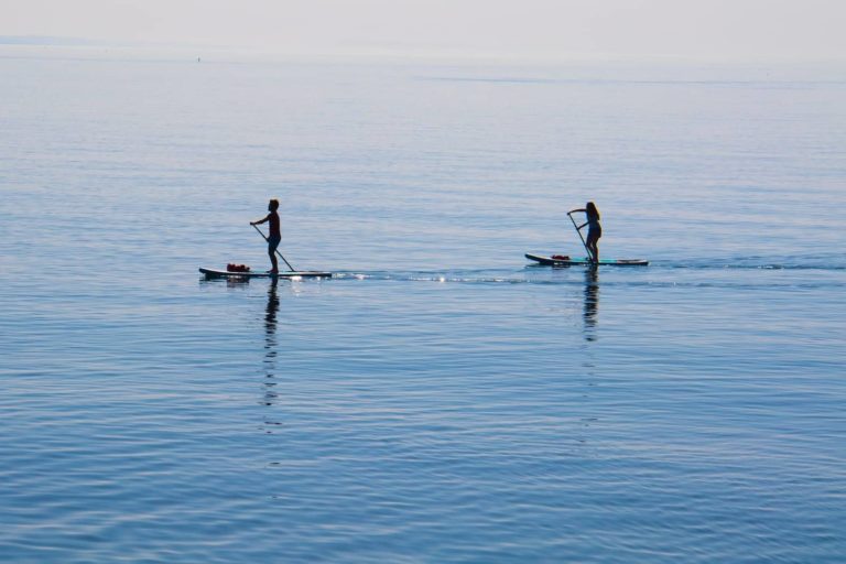 Two paddleboaders sail on calm waters
