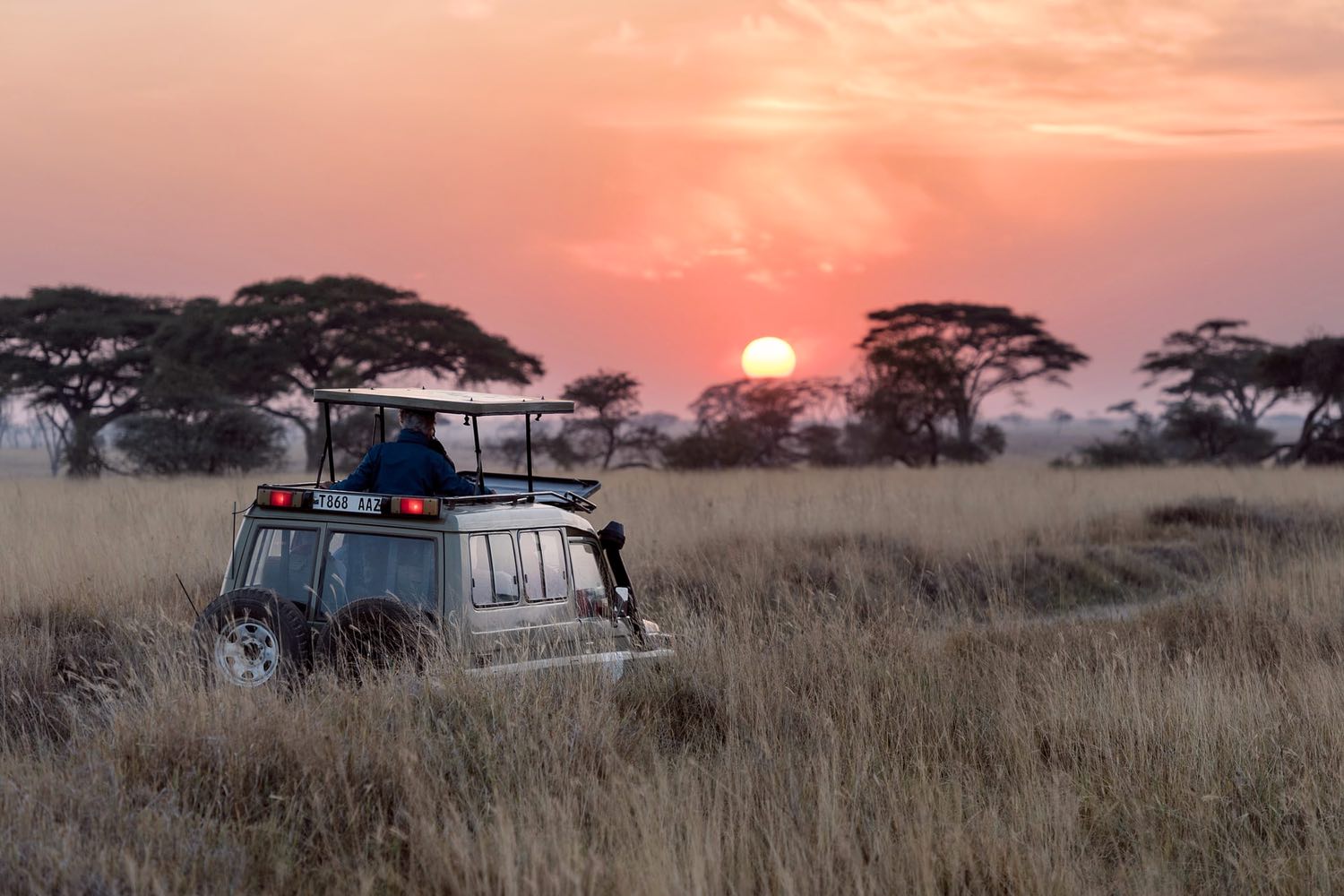 A jeep heads off onto a safari trip